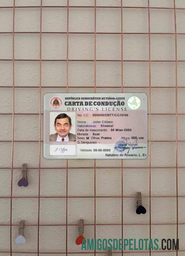 Timor Leste DL fotovisual frontal modelo